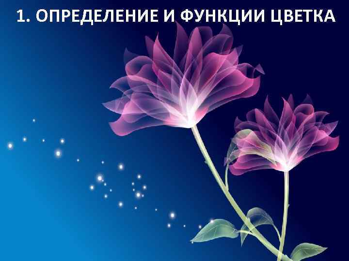 1. ОПРЕДЕЛЕНИЕ И ФУНКЦИИ ЦВЕТКА 