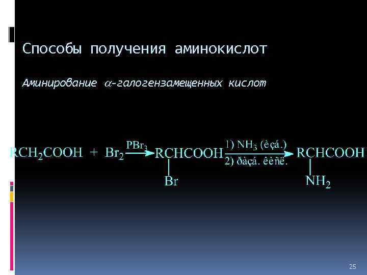Способы получения аминокислот Аминирование -галогензамещенных кислот 25 