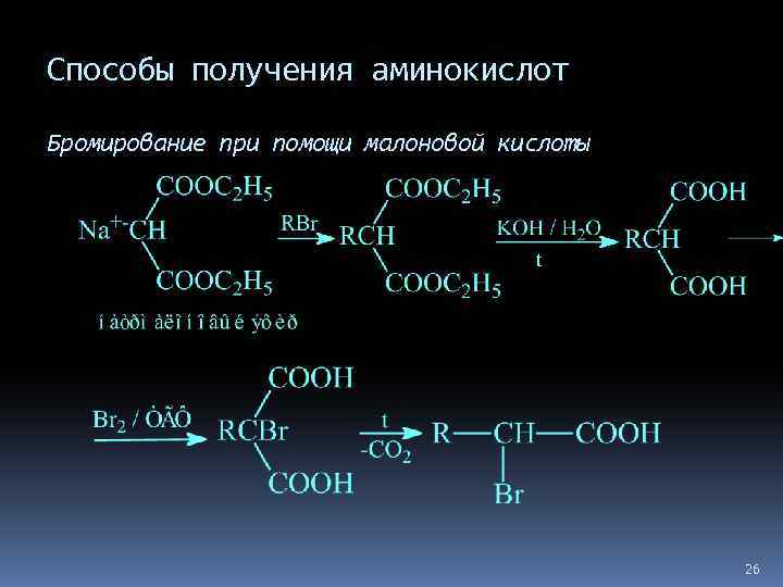 Место синтеза аминокислот. Получение азота из аминокислоты. Аммонолиз галогенкарбоновых кислот. Синтез аминокислот малоновой кислотой. Способы получения аминокислот.