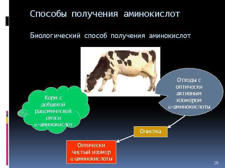 Способы получения аминокислот Биологический способ получения аминокислот Корм с добавкой рацемической смеси -аминокислот Оптически