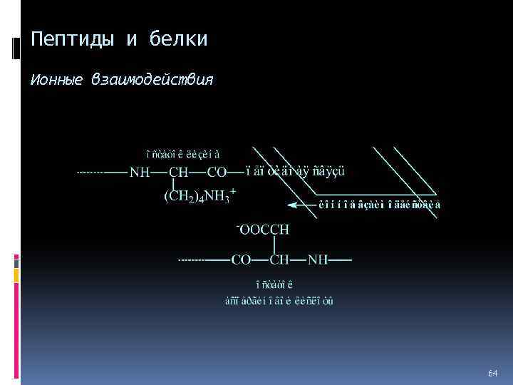 Пептиды и белки Ионные взаимодействия 64 