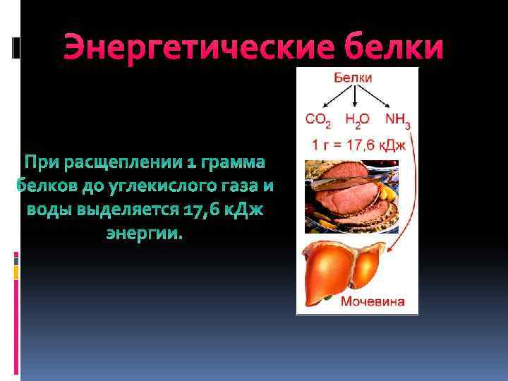  Энергетические белки. При расщеплении 1 грамма белков до углекислого газа и воды выделяется
