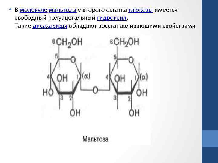 Восстанавливающие свойства. Лактоза полуацетальный гидроксил. Сахароза полуацетальный гидроксил. Мальтоза формула Хеуорса. Мальтоза  строение молекулы (структурная формула).