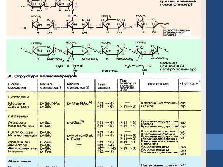 Биоорганическая химия в таблицах и схемах