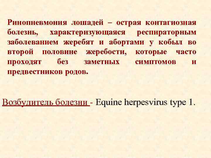 Ринопневмония лошадей – острая контагиозная болезнь, характеризующаяся респираторным заболеванием жеребят и абортами у кобыл