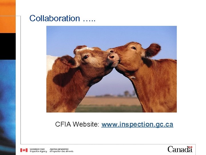 Collaboration …. . CFIA Website: www. inspection. gc. ca 