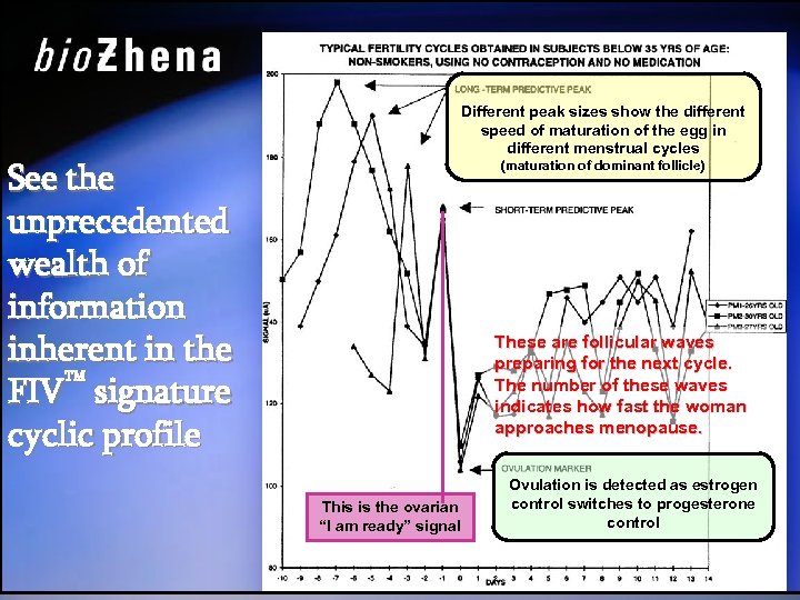 Different peak sizes show the different speed of maturation of the egg in different