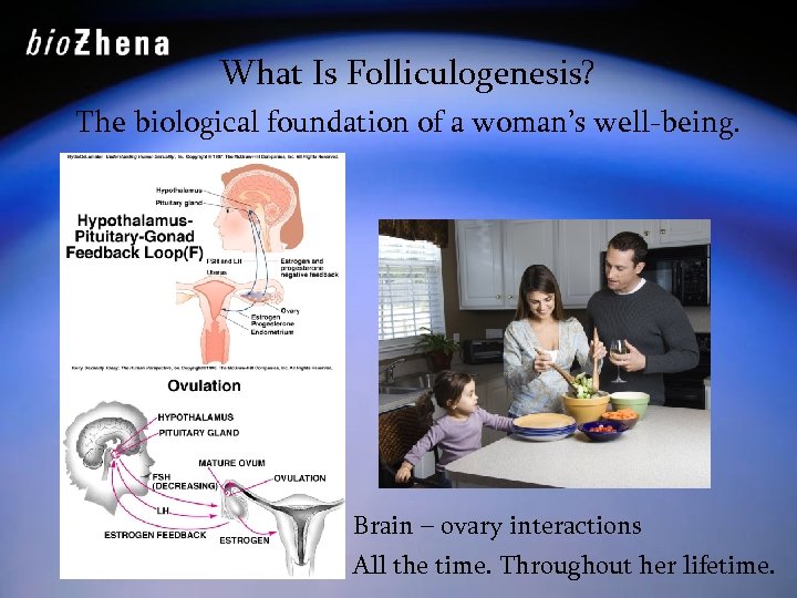 What Is Folliculogenesis? The biological foundation of a woman’s well-being. Brain – ovary interactions