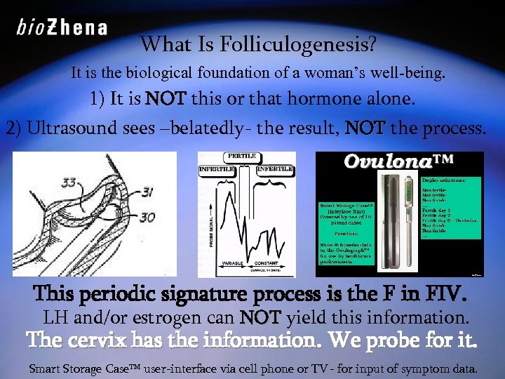 What Is Folliculogenesis? It is the biological foundation of a woman’s well-being. 1) It