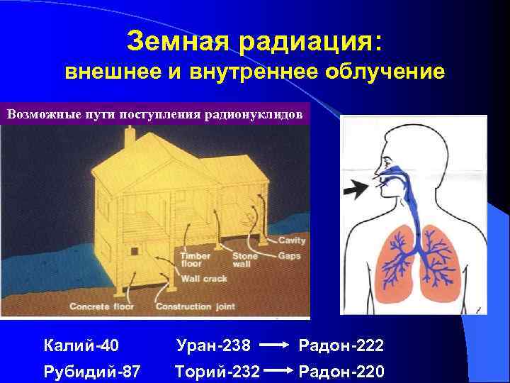 Земная радиация: внешнее и внутреннее облучение Возможные пути поступления радионуклидов Калий-40 Уран-238 Радон-222 Рубидий-87