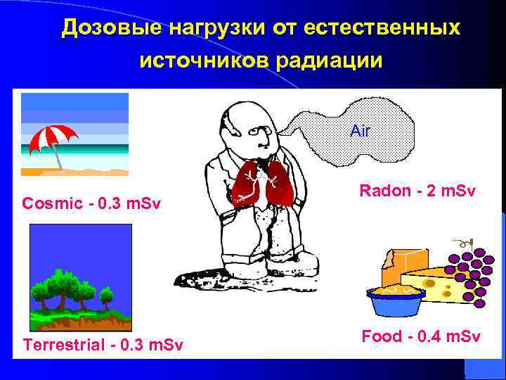 Дозовые нагрузки от естественных источников радиации Air Cosmic - 0. 3 m. Sv Terrestrial
