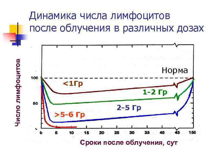 Число лимфоцитов Динамика числа лимфоцитов после облучения в различных дозах Норма <1 Гр 1