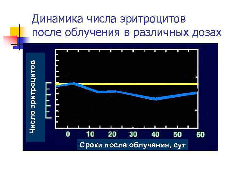 Число эритроцитов Динамика числа эритроцитов после облучения в различных дозах Сроки после облучения, сут