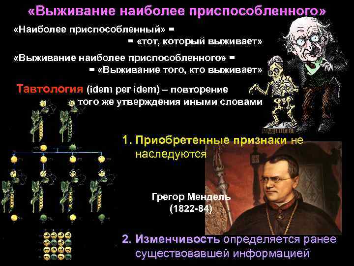  «Выживание наиболее приспособленного» «Наиболее приспособленный» = = «тот, который выживает» «Выживание наиболее приспособленного»