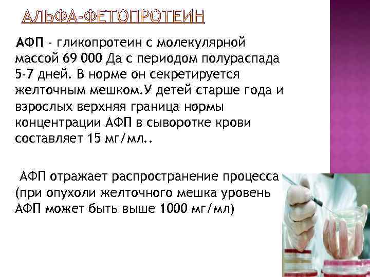 АФП - гликопротеин с молекулярной массой 69 000 Да с периодом полураспада 5 -7