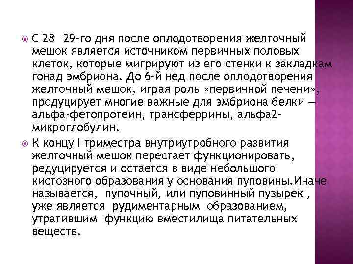 С 28— 29 -го дня после оплодотворения желточный мешок является источником первичных половых клеток,