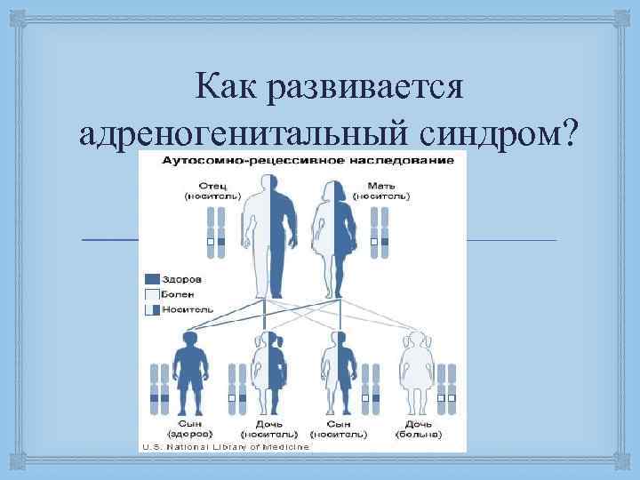 Как развивается адреногенитальный синдром? 