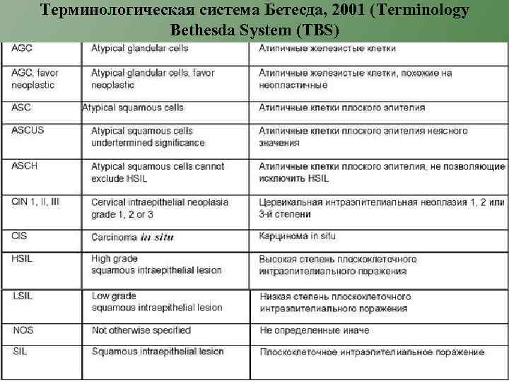 Терминологическая система Бетесда, 2001 (Terminology Bethesda System (TBS) 