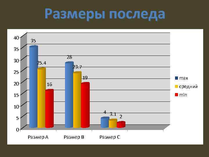 Размеры последа 40 35 35 30 28 25. 4 23. 7 25 20 19