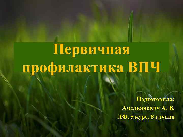 Первичная профилактика ВПЧ Подготовила: Амельянович А. В. ЛФ, 5 курс, 8 группа 