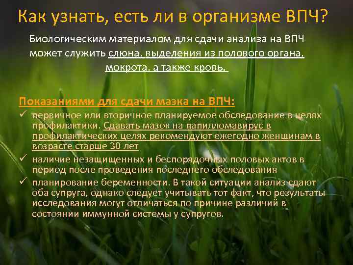 Как узнать, есть ли в организме ВПЧ? Биологическим материалом для сдачи анализа на ВПЧ