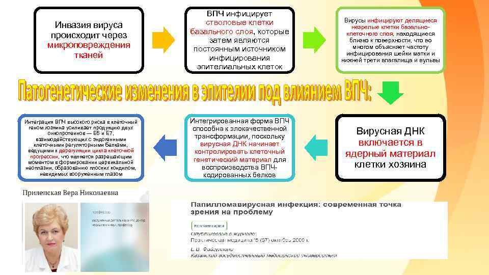 Инвазия вируса происходит через микроповреждения тканей Интеграция ВПЧ высокого риска в клеточный геном хозяина