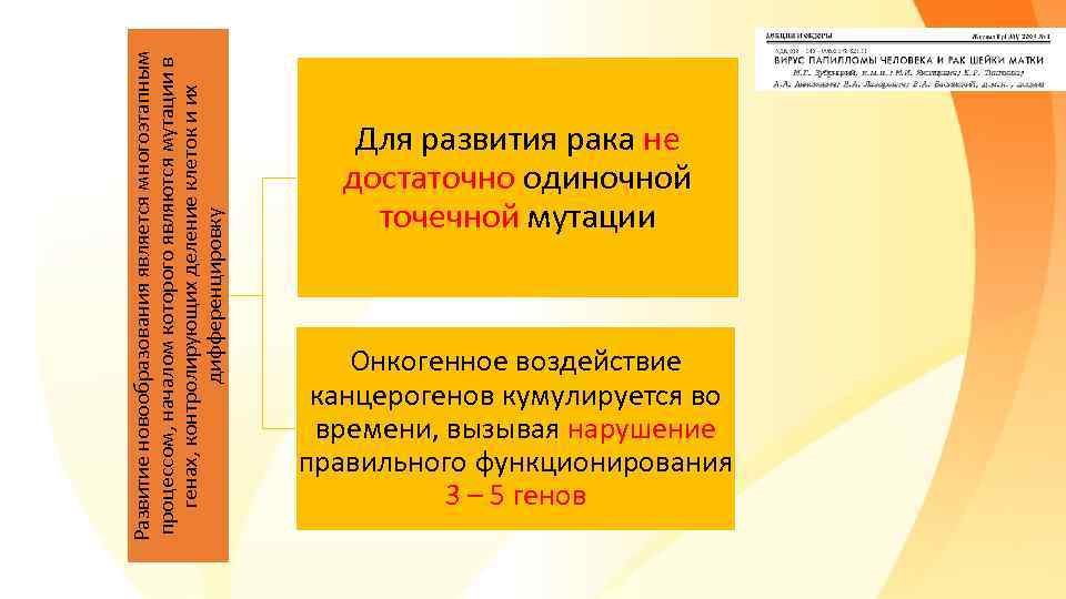 Развитие новообразования является многоэтапным процессом, началом которого являются мутации в генах, контролирующих деление клеток