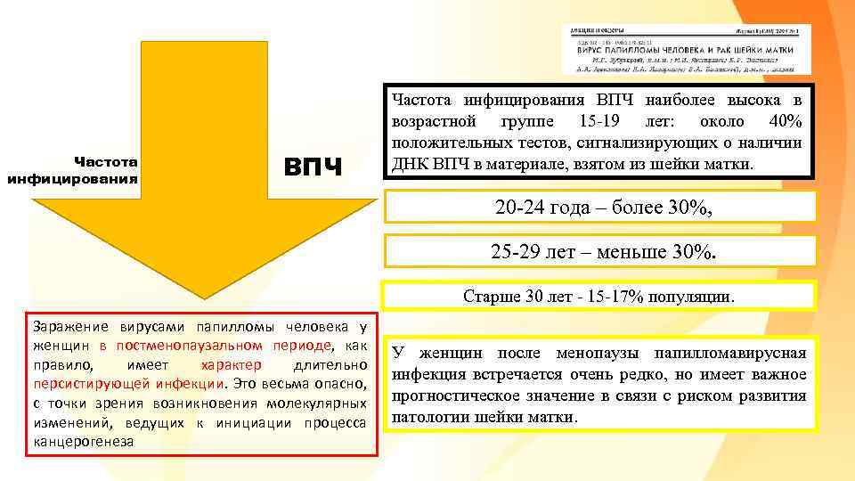 Частота инфицирования ВПЧ наиболее высока в возрастной группе 15 -19 лет: около 40% положительных