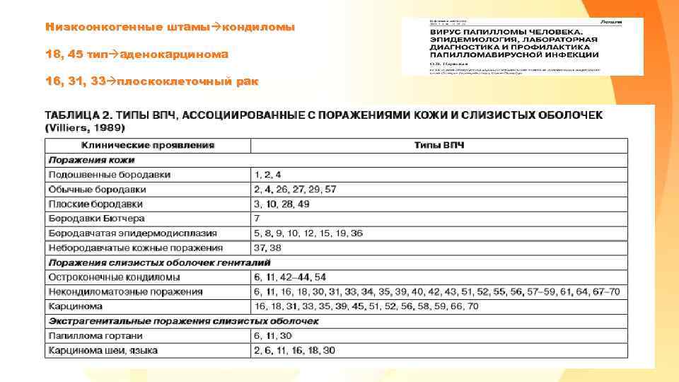 Низкоонкогенные штамы кондиломы 18, 45 тип аденокарцинома 16, 31, 33 плоскоклеточный рак 