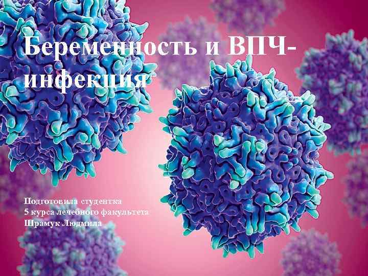 Беременность и ВПЧинфекция Подготовила студентка 5 курса лечебного факультета Шрамук Людмила 