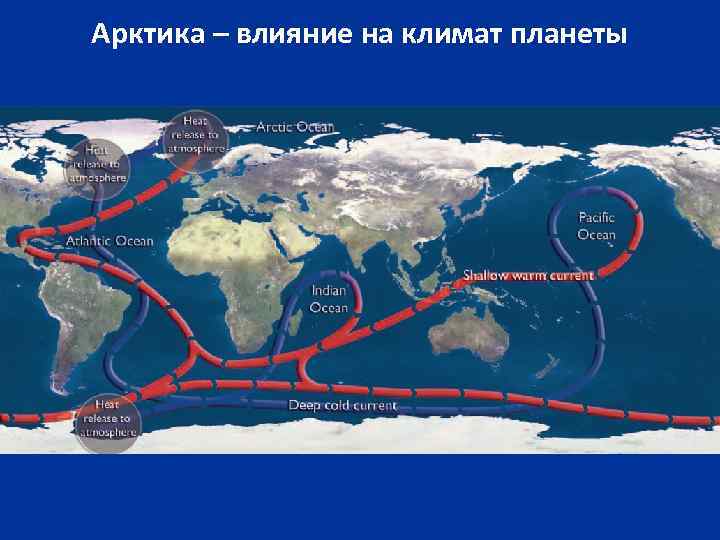 Арктика – влияние на климат планеты 