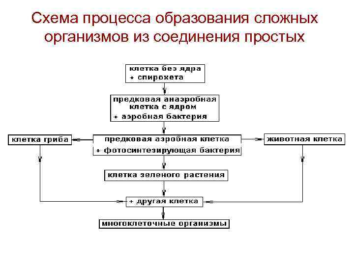 Процесс образования какой. Процесс образования схема. Сема образования как процесса. Образование как процесс схема. Образование это процесс.