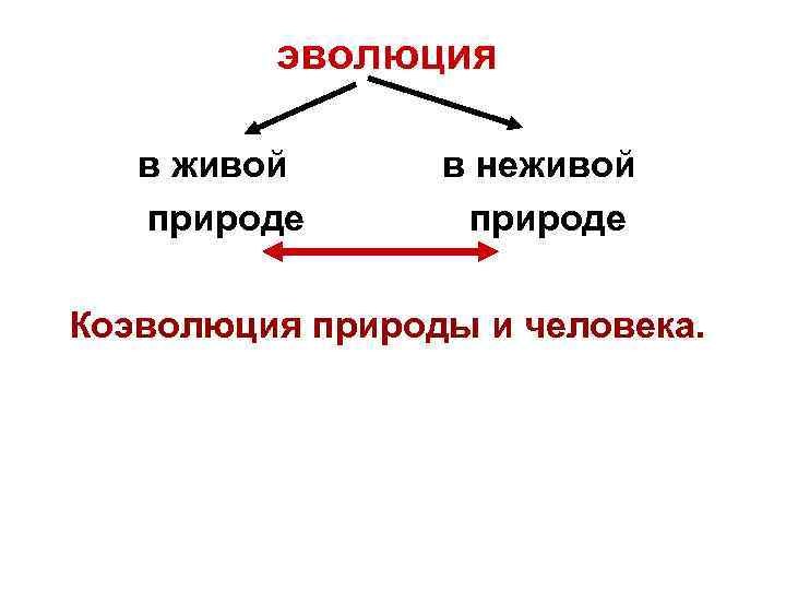 эволюция в живой в неживой природе природе Коэволюция природы и человека. 