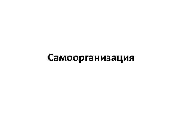 Самоорганизация 