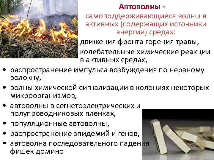  • • • Автоволны самоподдерживающиеся волны в активных (содержащих источники энергии) средах: •