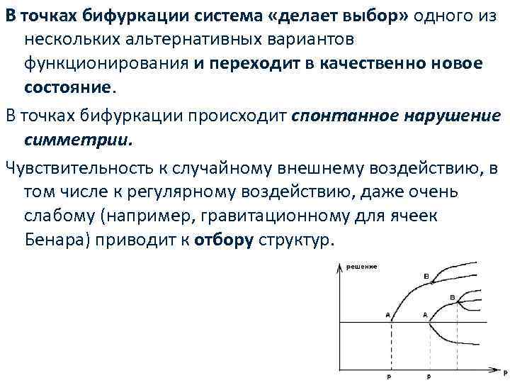 В точках бифуркации система «делает выбор» одного из нескольких альтернативных вариантов функционирования и переходит