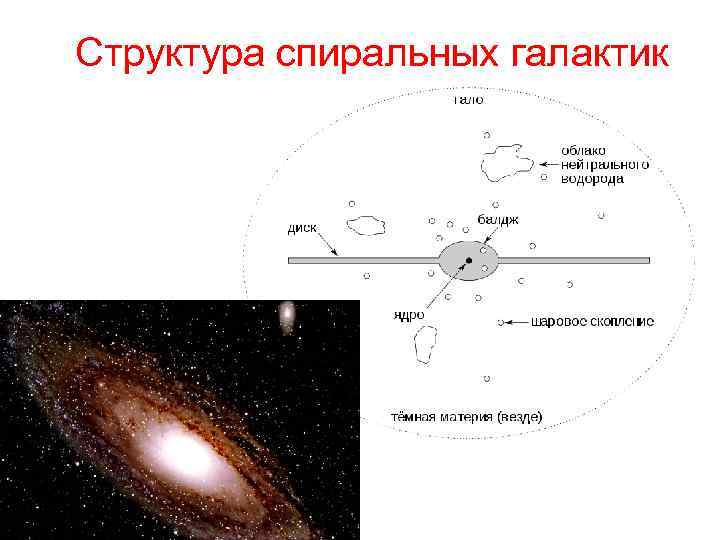 Рассмотрите схему строения нашей спиральной галактики