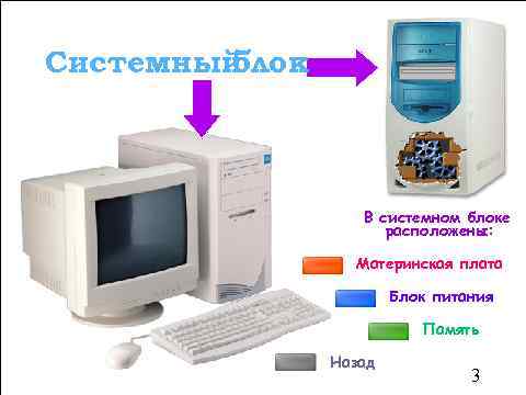Системный блок В системном блоке расположены: Материнская плата Блок питания Память Назад 3 