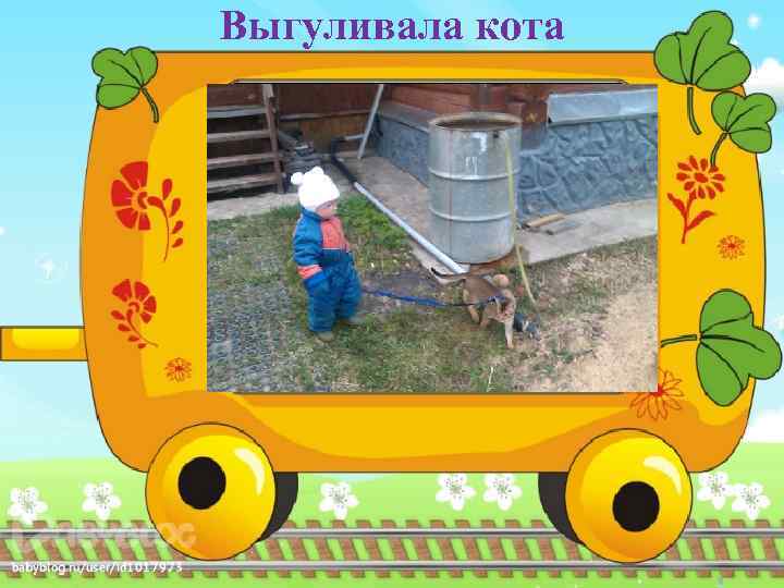 Выгуливала кота 