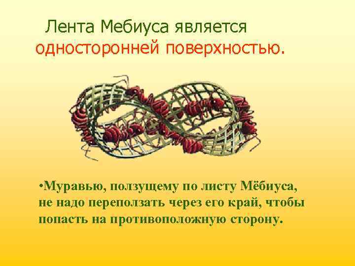  • Лента Мебиуса является односторонней поверхностью. • Муравью, ползущему по листу Мёбиуса, не