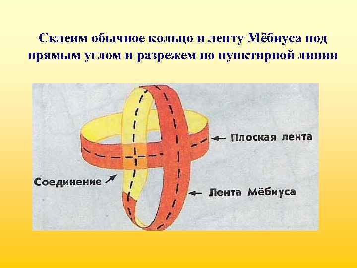Склеим обычное кольцо и ленту Мёбиуса под прямым углом и разрежем по пунктирной линии