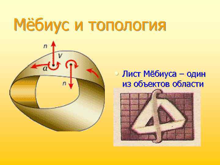 Мёбиус и топология • Лист Мёбиуса – один из объектов области математики топологии. 
