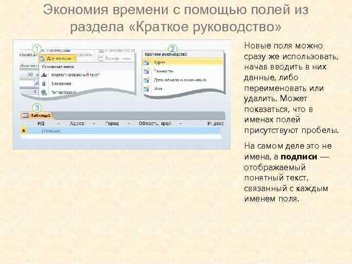 Экономия времени с помощью полей из раздела «Краткое руководство» Новые поля можно сразу же