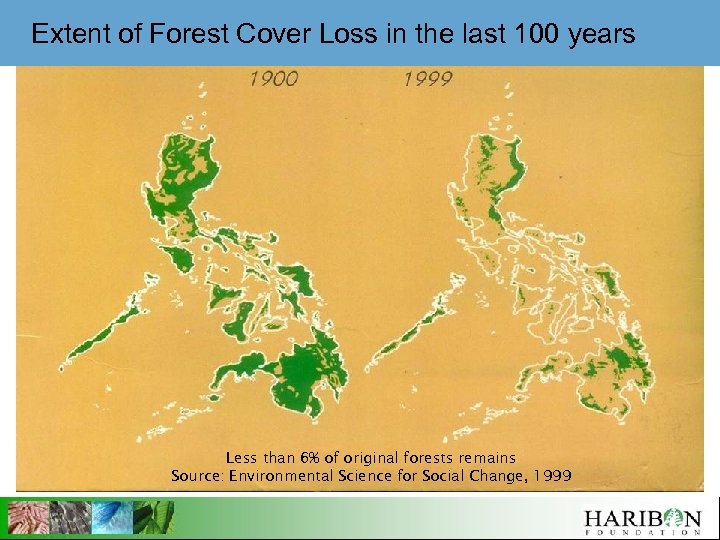 Extent of Forest Cover Loss in the last 100 years Less than 6% of