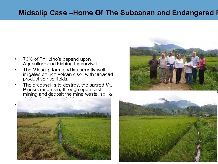 Midsalip Case –Home Of The Subaanan and Endangered P • • 70% of Philipino’s