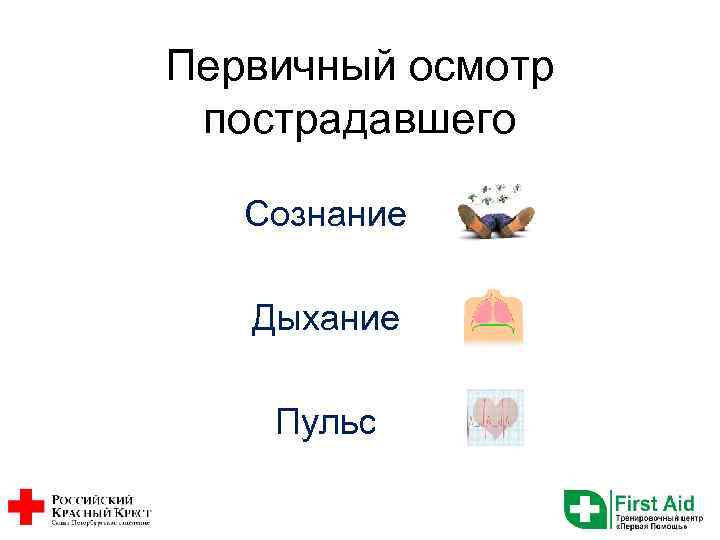 Первичный осмотр пострадавшего Сознание Дыхание Пульс 