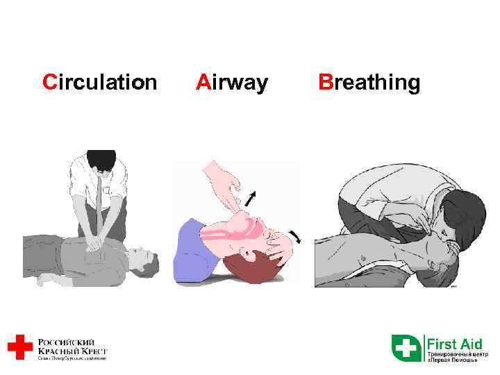 Circulation Airway Breathing 