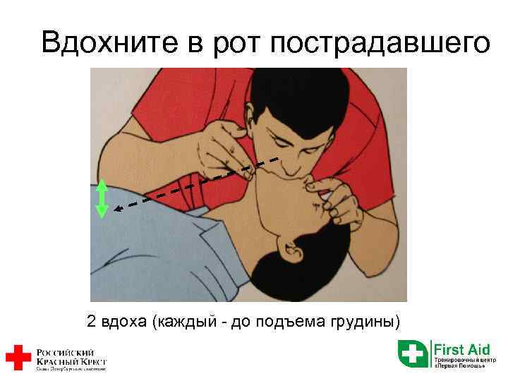 Вдохните в рот пострадавшего 2 вдоха (каждый - до подъема грудины) 