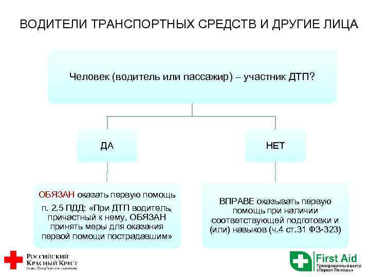 ВОДИТЕЛИ ТРАНСПОРТНЫХ СРЕДСТВ И ДРУГИЕ ЛИЦА Человек (водитель или пассажир) – участник ДТП? ДА