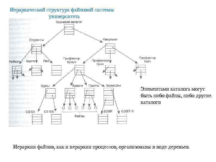 Иерархической структура файловой системы университета Элементами каталога могут быть либо файлы, либо другие каталоги